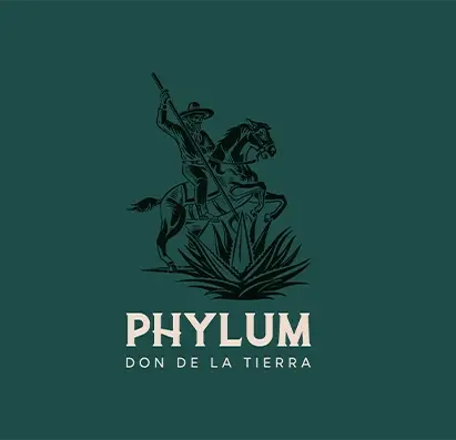 Phylum_Logo-05 copia